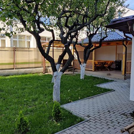 בית הארחה Călimăneşti 	Casa Marina מראה חיצוני תמונה