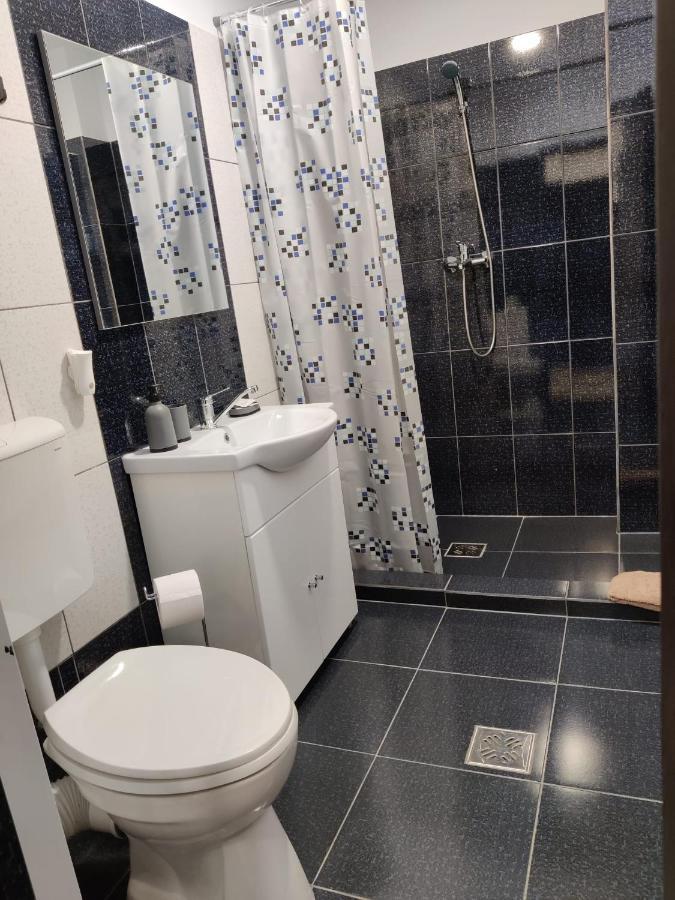 בית הארחה Călimăneşti 	Casa Marina מראה חיצוני תמונה